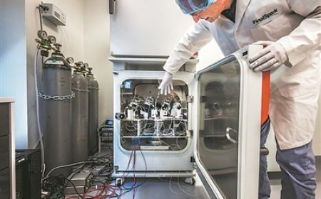 Biological computing moves forward in controversy