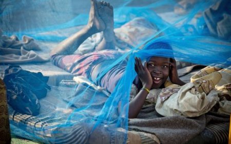 Malaria: Drug resistance and underfunding threaten progress towards eliminating killer disease