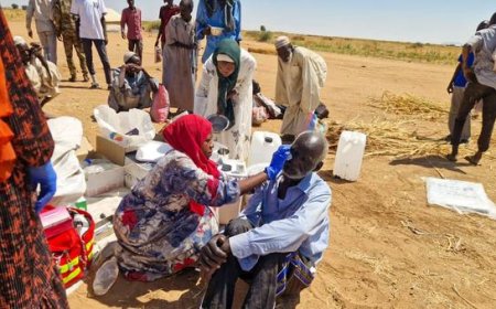 Sudan war: World urged not to ignore ‘gruesome sexual violence’