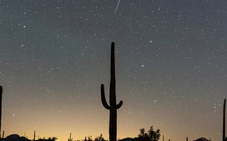 How to Watch the Geminids Meteor Shower Reach Its Peak