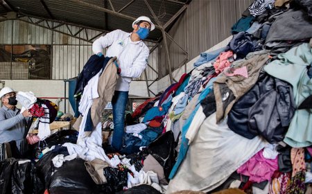 For Circular Economy Innovation, Look to the Global South