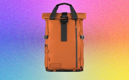 17 Best Camera Bags, Slings, Straps, and Backpacks (2025), Tested and Reviewed