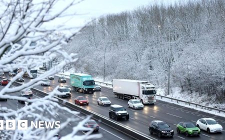 From beating the traffic to opening hours: How to navigate the Christmas break