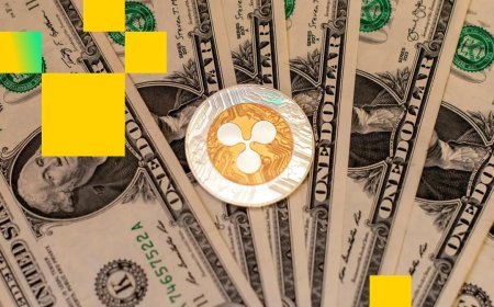 BlackRock's Bitcoin ETF a true rarity: massive inflows even with negative performance