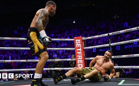 Williamson drops Simpson four times in stoppage win