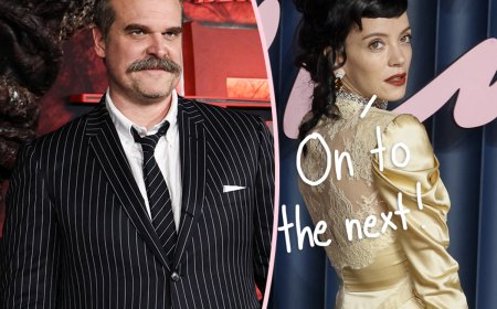 Lily Allen Moves On From Ex David Harbour! She’s Spotted Locking Lips With New Man! 