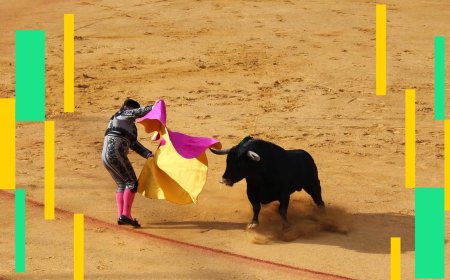 Miner capitulation is a contrarian signal, indicates renewed bitcoin momentum, VanEck says