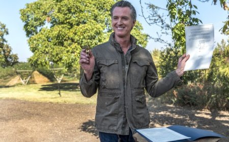 Newsom Loses More CA Business and Wants to Take Away the Farm