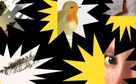 From ‘Buckeye’ to ‘Mona’s Eyes’: 5 Breakout Novels of 2025