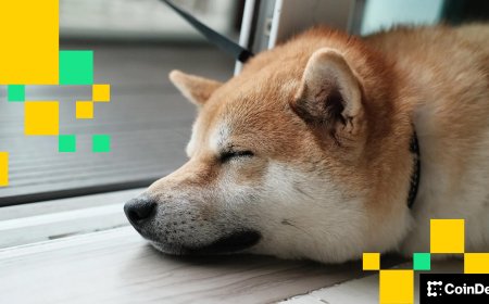 Price-action of dog memecoins dogecoin, shiba inu muted amid thin holiday liquidity