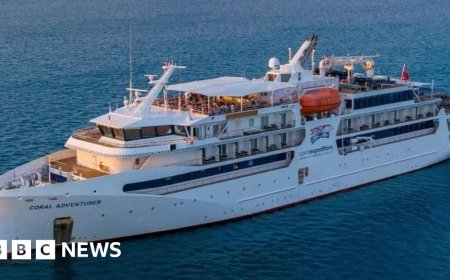 Passengers on stranded cruise ship to be flown back to Australia