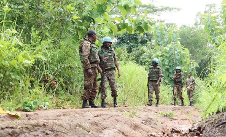 South Sudan: UN condemns killing of staff member in Wau, calls for swift investigation