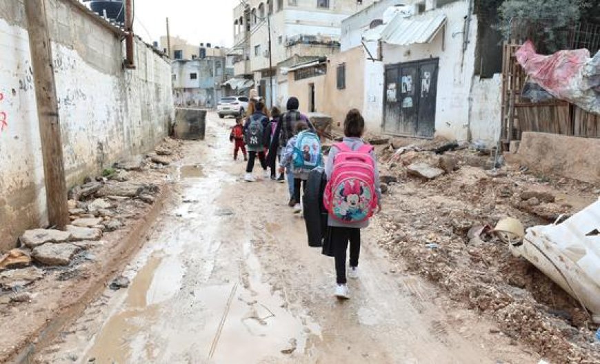 End senseless killings in the West Bank: UN rights office