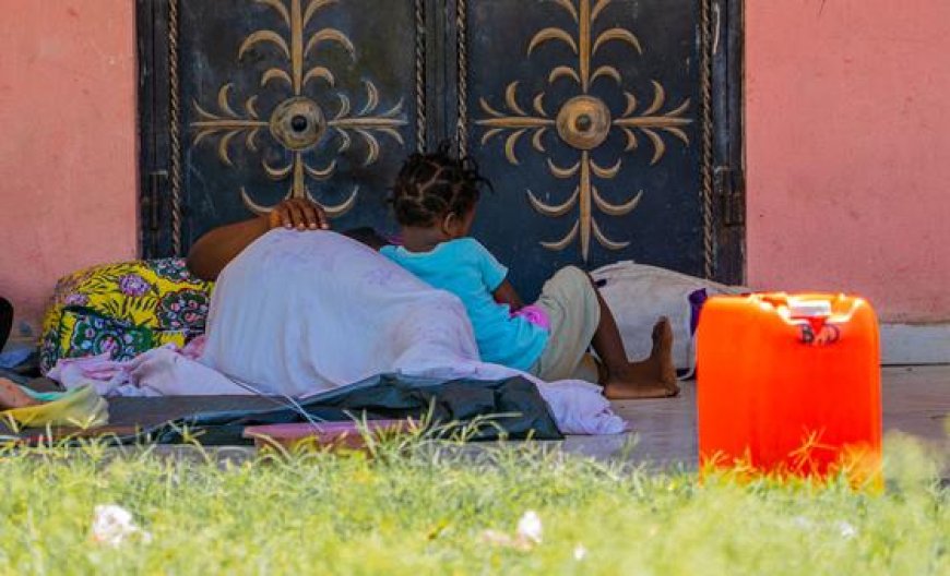 World News in Brief: Violence against Haitian women, WHO alert over support for survivors worldwide, Youth Activist Summit marks hope over hate