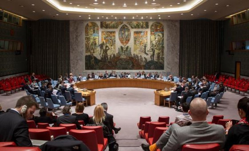 Security Council LIVE: Ambassadors debate deepening crisis in eastern DR Congo