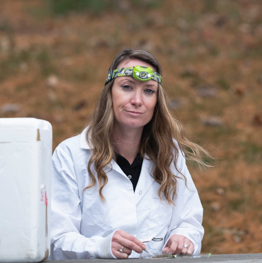 She Studied Mosquitoes to Prevent Malaria. Then She Lost Her Job at U.S.A.I.D.