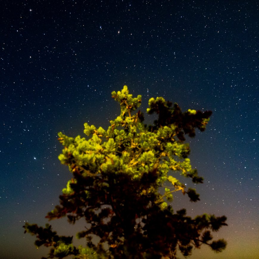 In Michigan’s Upper Peninsula, Locals Fight for ‘The Right to Night’