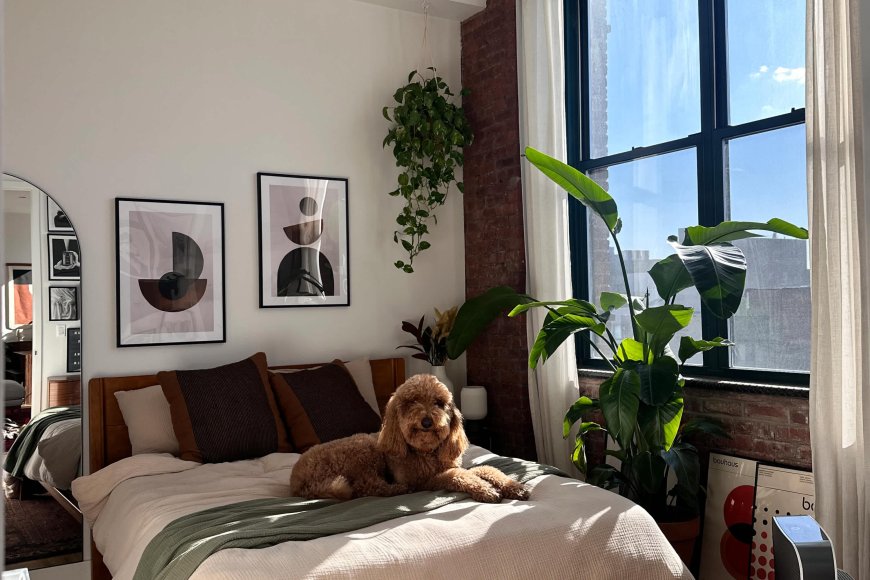 A Blank Brooklyn Apartment Turned into a Cozy, Art-Layered Home — Without a Reno