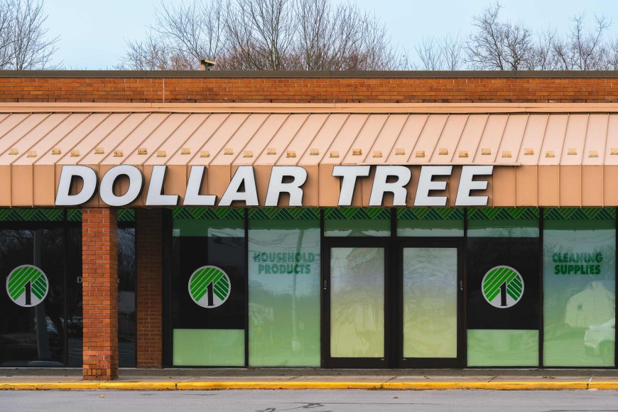 Dollar Tree Is Selling the Cutest Productivity Gems, and I Want All 4 of Them