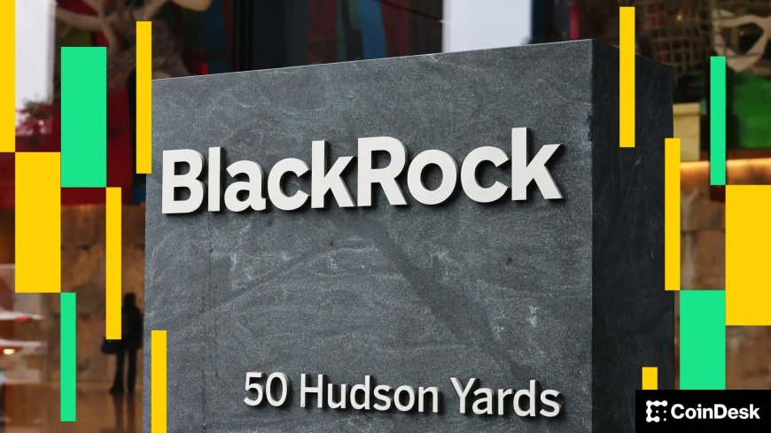 BlackRock names bitcoin ETF a top 2025 theme despite price slump