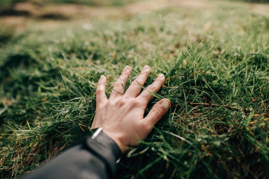 Naware’s chemical-free weed killer tech could change how we treat lawns