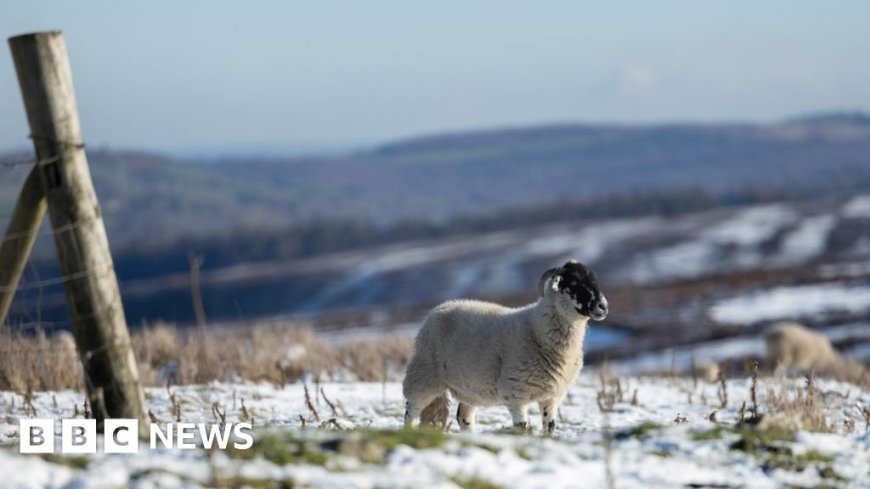 Cold weather to ring in New Year as amber health alerts issued