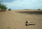 World enters era of ‘global water bankruptcy’