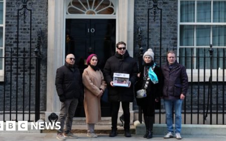 Family of UK couple held in Iran take petition to No 10