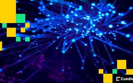 VelaFi raises $20 million in Series B to expand stablecoin payments infrastructure