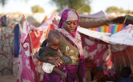 World News in Brief: Escalating fighting in Sudan, displacement in Syria’s Aleppo, $1.5 billion appeal for South Sudan