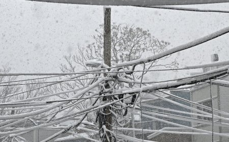 Why the Power May Not Go Out Until After the Storm Has Passed