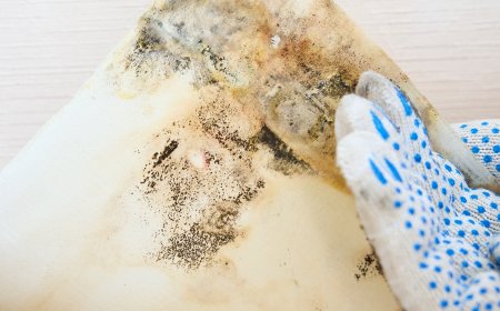 People Are Getting Worried About Household Mold. Should You Be?