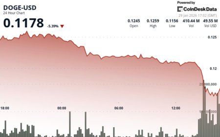 Dogecoin slumps 7% as bitcoin risk-off rattles memecoin bets