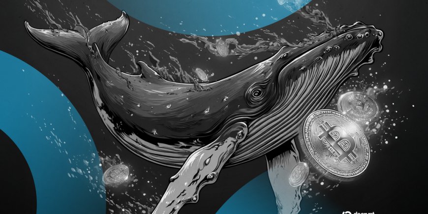 New Bitcoin Whales Outpace Old Guard in $6B Supply Tug-of-War