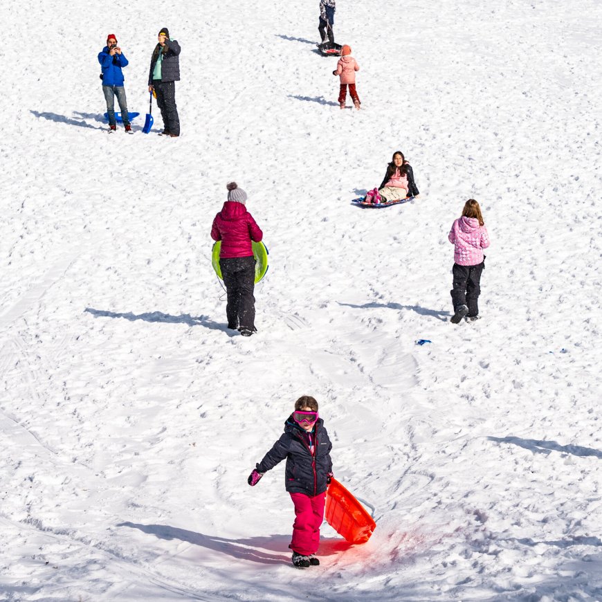 No Snow Day? In New York City Parks, It Felt Like One.