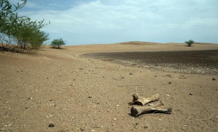 World enters era of ‘global water bankruptcy’