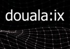 Connecting Central Africa: The Rise and Impact of Douala-IX