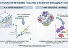Choosing Between PCA and t-SNE for Visualization