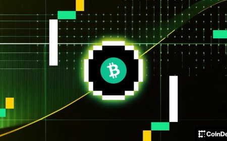 Bitcoin, major tokens drop as traders position for downside protection
