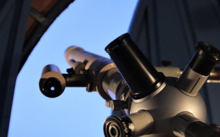 Unveiling IPv6 scanning dynamics: The largest telescope reveals a surging, diverse ecosystem