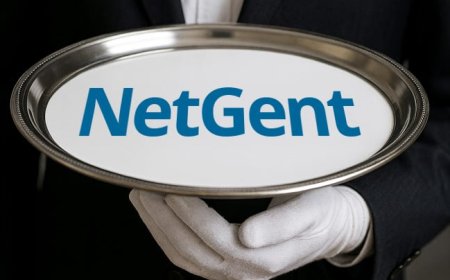 NetGent: Agent-based automation of network application workflows