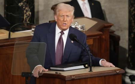 Trump's SOTU Message: It's the Economy, Stupid!