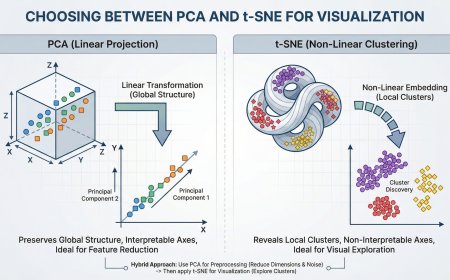 Choosing Between PCA and t-SNE for Visualization