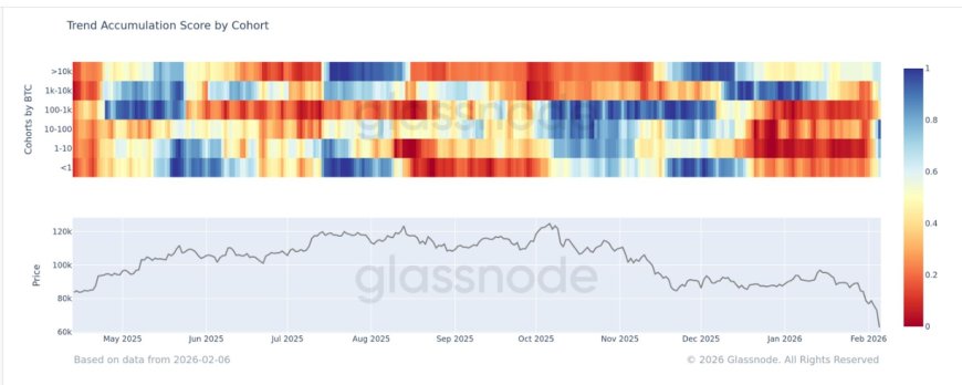 Broad-based bitcoin accumulation emerges after sharp capitulation