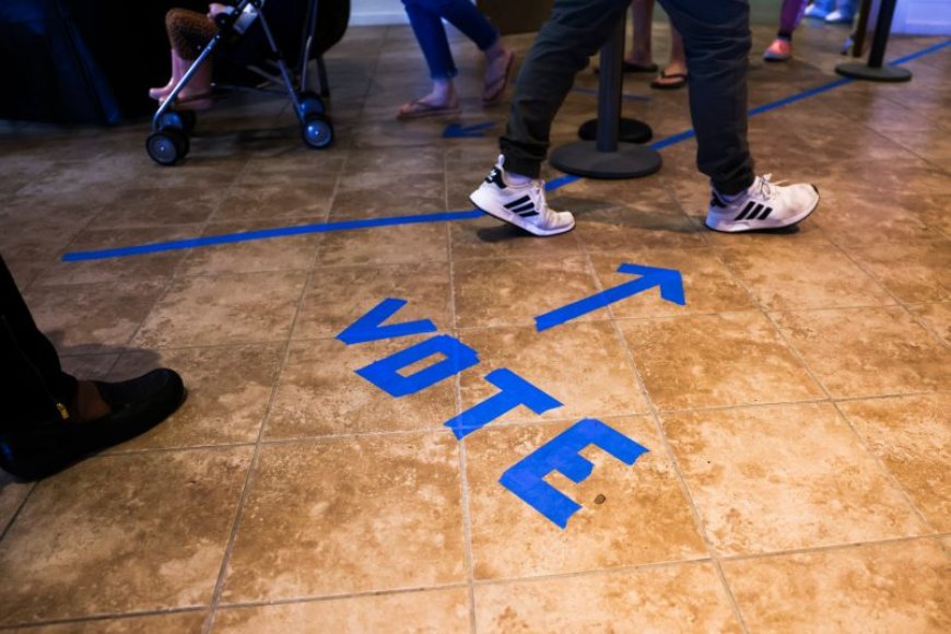 The Franchise Is Back! Sign Up to Get Our Weekly Voting Rights Newsletter In Your Inbox