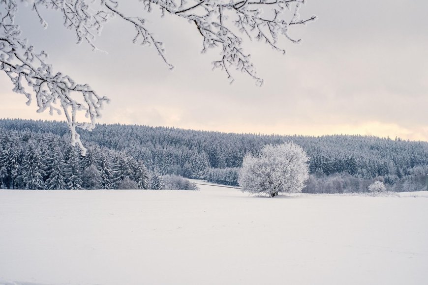 Crypto markets feel the chill, Base, ether.fi reorganize layer-2 landscape