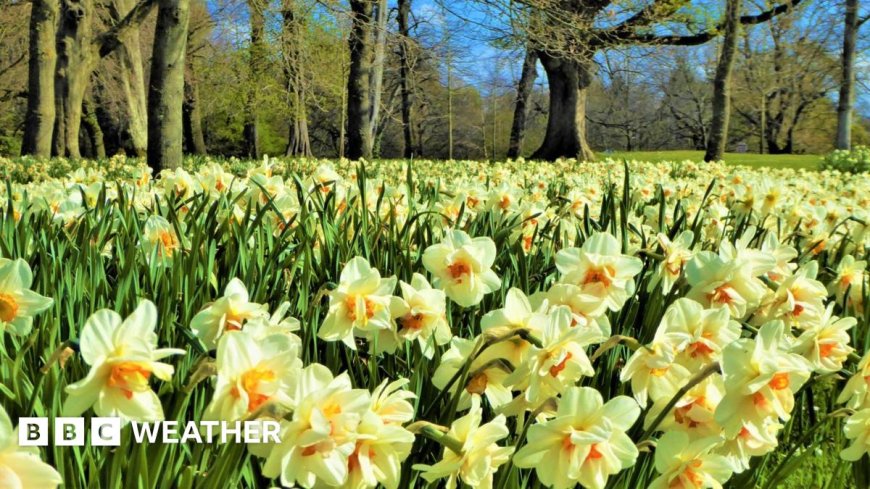 UK temperatures expected to reach 18C after rainy start to 2026