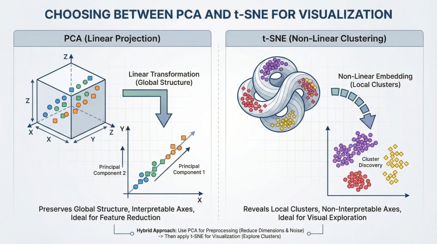 Choosing Between PCA and t-SNE for Visualization