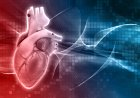 AI forecasts heart failure progression up to a year in advance