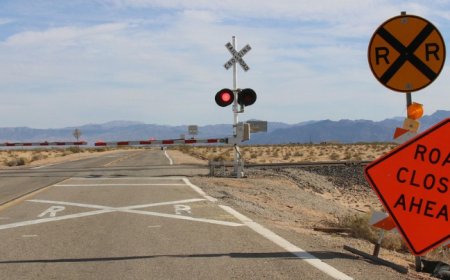 DNS blocking in practice: PDNS in a Research and Education Network